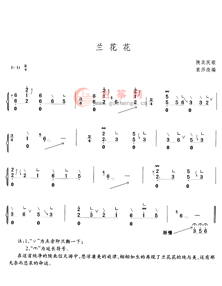兰花花